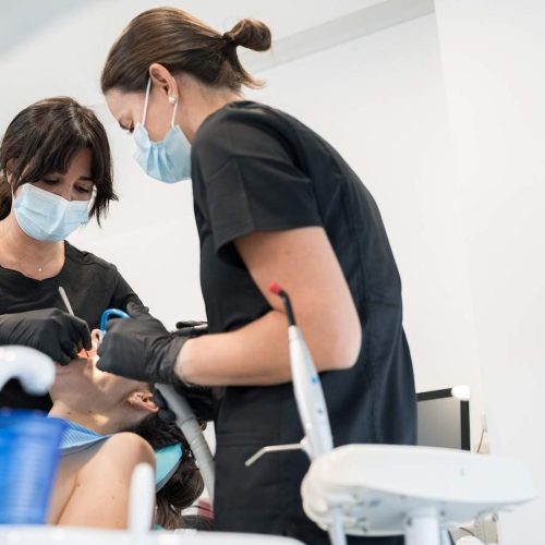 WhatsAppImage2026-02-19at12.14.042